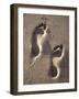 Footprints-Bruno Abarco-Framed Photographic Print