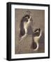 Footprints-Bruno Abarco-Framed Photographic Print