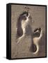 Footprints-Bruno Abarco-Framed Stretched Canvas