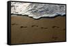 Footprints-Lynda White-Framed Stretched Canvas