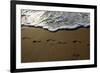 Footprints-Lynda White-Framed Photographic Print