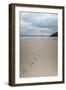 Footsteps in the Sand, Carbis Bay Beach, St. Ives, Cornwall, England, United Kingdom, Europe-Mark Doherty-Framed Photographic Print