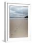 Footsteps in the Sand, Carbis Bay Beach, St. Ives, Cornwall, England, United Kingdom, Europe-Mark Doherty-Framed Photographic Print