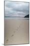 Footsteps in the Sand, Carbis Bay Beach, St. Ives, Cornwall, England, United Kingdom, Europe-Mark Doherty-Mounted Photographic Print