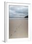 Footsteps in the Sand, Carbis Bay Beach, St. Ives, Cornwall, England, United Kingdom, Europe-Mark Doherty-Framed Photographic Print