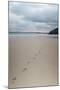 Footsteps in the Sand, Carbis Bay Beach, St. Ives, Cornwall, England, United Kingdom, Europe-Mark Doherty-Mounted Photographic Print