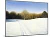 Footsteps Through the Snow-Kevin Dodds-Mounted Giclee Print