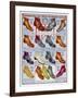 Footwear Catalog-null-Framed Art Print