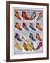 Footwear Catalog-null-Framed Art Print