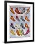 Footwear Catalog-null-Framed Art Print