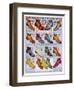 Footwear Catalog-null-Framed Art Print