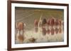 For 80 Cents, Row of Women Workers in a Rice Field, 1893-Angelo Morbelli-Framed Premium Giclee Print