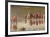 For 80 Cents, Row of Women Workers in a Rice Field, 1893-Angelo Morbelli-Framed Premium Giclee Print