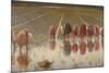 For 80 Cents, Row of Women Workers in a Rice Field, 1893-Angelo Morbelli-Mounted Premium Giclee Print