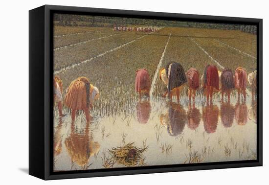 For 80 Cents, Row of Women Workers in a Rice Field, 1893-Angelo Morbelli-Framed Stretched Canvas