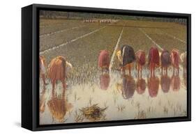 For 80 Cents, Row of Women Workers in a Rice Field, 1893-Angelo Morbelli-Framed Stretched Canvas