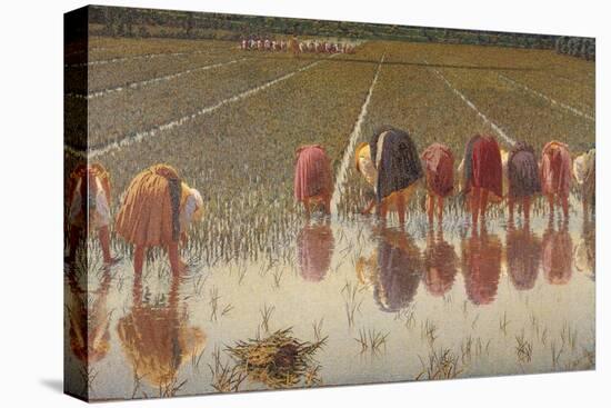 For 80 Cents, Row of Women Workers in a Rice Field, 1893-Angelo Morbelli-Stretched Canvas