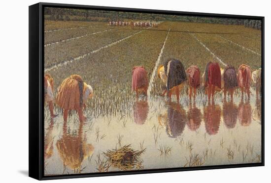 For 80 Cents, Row of Women Workers in a Rice Field, 1893-Angelo Morbelli-Framed Stretched Canvas