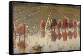 For 80 Cents, Row of Women Workers in a Rice Field, 1893-Angelo Morbelli-Framed Stretched Canvas