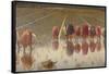 For 80 Cents, Row of Women Workers in a Rice Field, 1893-Angelo Morbelli-Framed Stretched Canvas