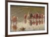 For 80 Cents, Row of Women Workers in a Rice Field, 1893-Angelo Morbelli-Framed Art Print