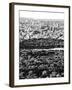 For a Baseball Field in Central Parc at Sunset, Manhattan, NYC, US, Black and White Photography-Philippe Hugonnard-Framed Photographic Print