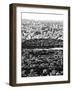 For a Baseball Field in Central Parc at Sunset, Manhattan, NYC, US, Black and White Photography-Philippe Hugonnard-Framed Photographic Print