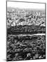 For a Baseball Field in Central Parc at Sunset, Manhattan, NYC, US, Black and White Photography-Philippe Hugonnard-Mounted Photographic Print