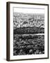 For a Baseball Field in Central Parc at Sunset, Manhattan, NYC, US, Black and White Photography-Philippe Hugonnard-Framed Premium Photographic Print