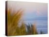 For Ebey State Park, Whidbey Island-Ethan Welty-Stretched Canvas