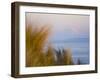 For Ebey State Park, Whidbey Island-Ethan Welty-Framed Photographic Print