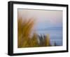 For Ebey State Park, Whidbey Island-Ethan Welty-Framed Photographic Print