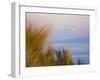 For Ebey State Park, Whidbey Island-Ethan Welty-Framed Photographic Print