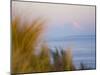 For Ebey State Park, Whidbey Island-Ethan Welty-Mounted Photographic Print