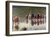 For Eighty Pennies, 1895-Angelo Morbelli-Framed Giclee Print