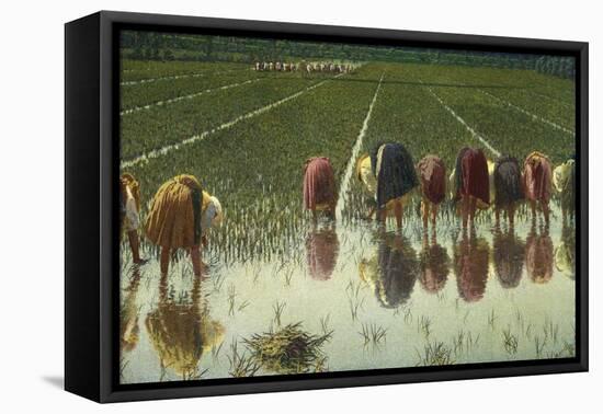 For Eighty Pennies-Angelo Morbelli-Framed Stretched Canvas