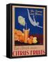 For Energy and Fitness, Eat and Drink More Citrus Fruits', Health Poster, C.1930-null-Framed Stretched Canvas