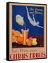 For Energy and Fitness, Eat and Drink More Citrus Fruits', Health Poster, C.1930-null-Framed Stretched Canvas