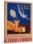 For Energy and Fitness, Eat and Drink More Citrus Fruits', Health Poster, C.1930-null-Stretched Canvas