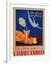 For Energy and Fitness, Eat and Drink More Citrus Fruits', Health Poster, C.1930-null-Framed Giclee Print