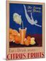 For Energy and Fitness, Eat and Drink More Citrus Fruits', Health Poster, C.1930-null-Mounted Giclee Print