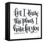 For I Know the Plans I-Imperfect Dust-Framed Stretched Canvas