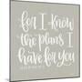 For I Know the Plans II-Imperfect Dust-Mounted Art Print