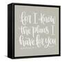 For I Know the Plans II-Imperfect Dust-Framed Stretched Canvas