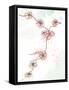 For Japan-Jan Weiss-Framed Stretched Canvas