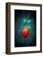 For Lovers-Philippe Sainte-Laudy-Framed Photographic Print