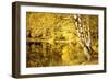 For one more Fall-Philippe Sainte-Laudy-Framed Photographic Print