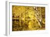 For one more Fall-Philippe Sainte-Laudy-Framed Photographic Print