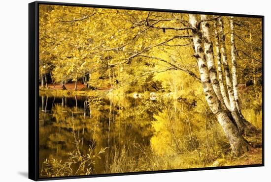 For one more Fall-Philippe Sainte-Laudy-Framed Stretched Canvas