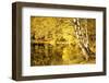 For one more Fall-Philippe Sainte-Laudy-Framed Photographic Print